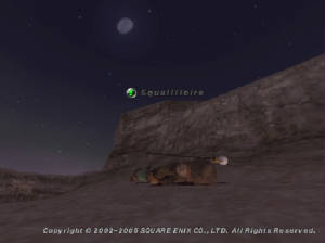 squ051110075941a.jpg